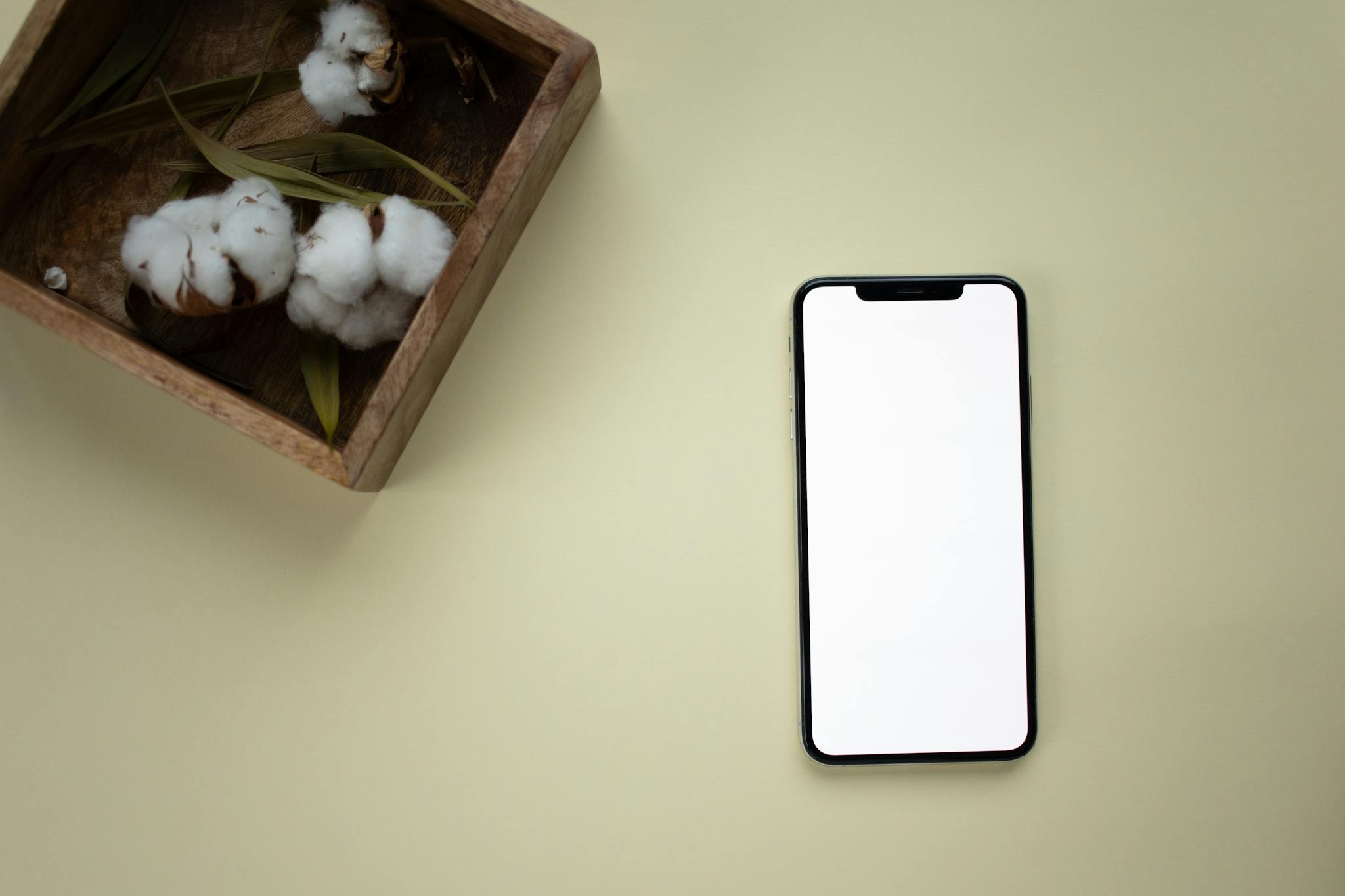 A modern smartphone with a blank screen beside a wooden box of cotton on an olive background.